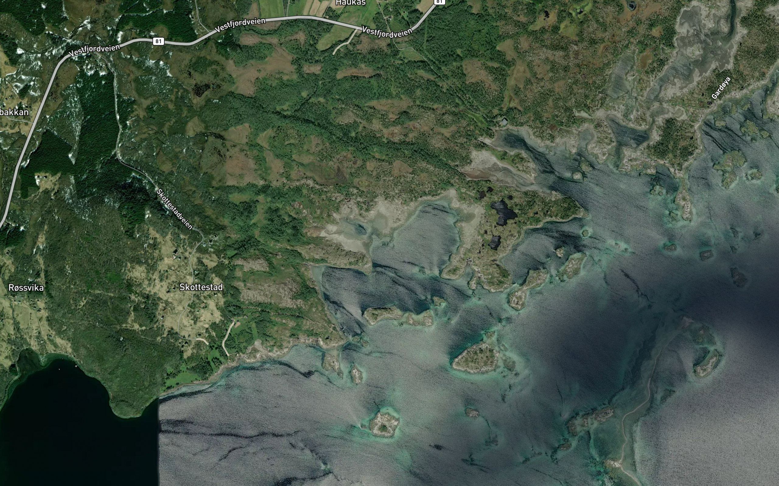 Arnesosen