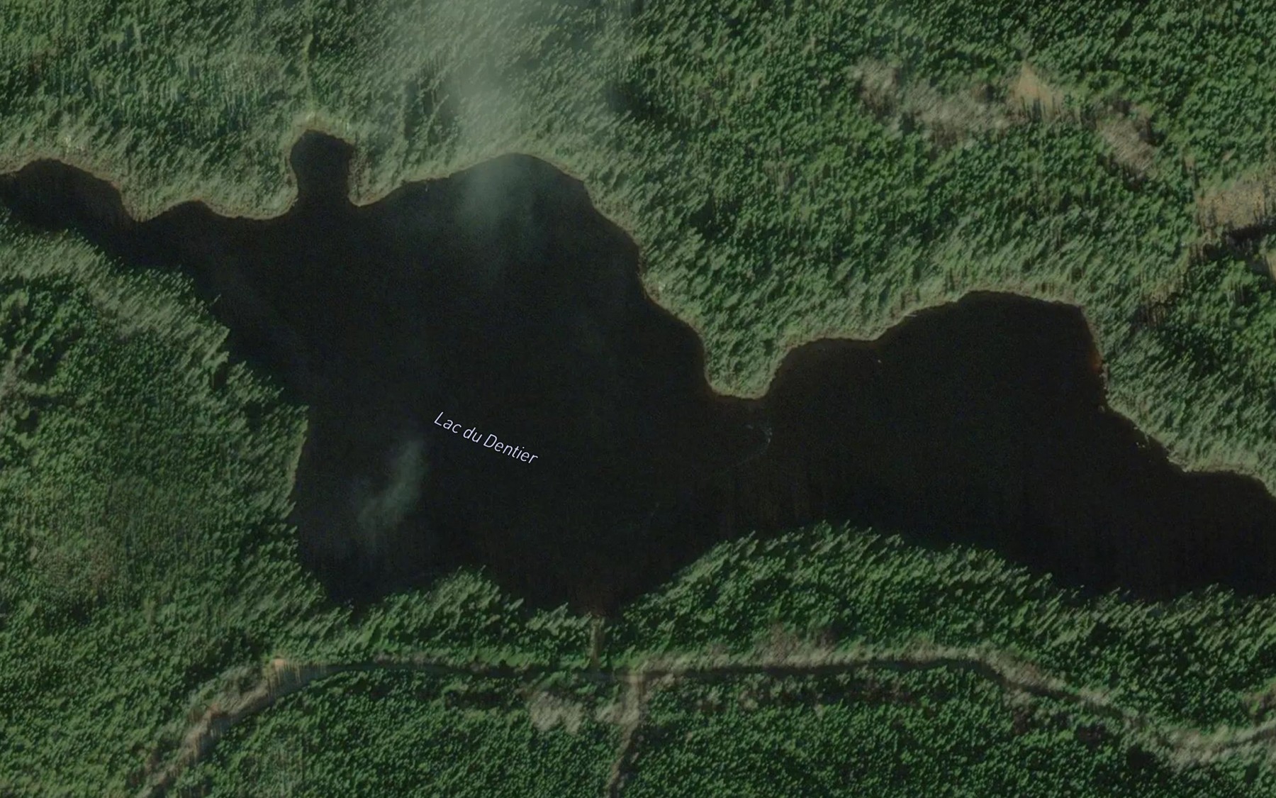 Satellite map of the Lac du Dentier