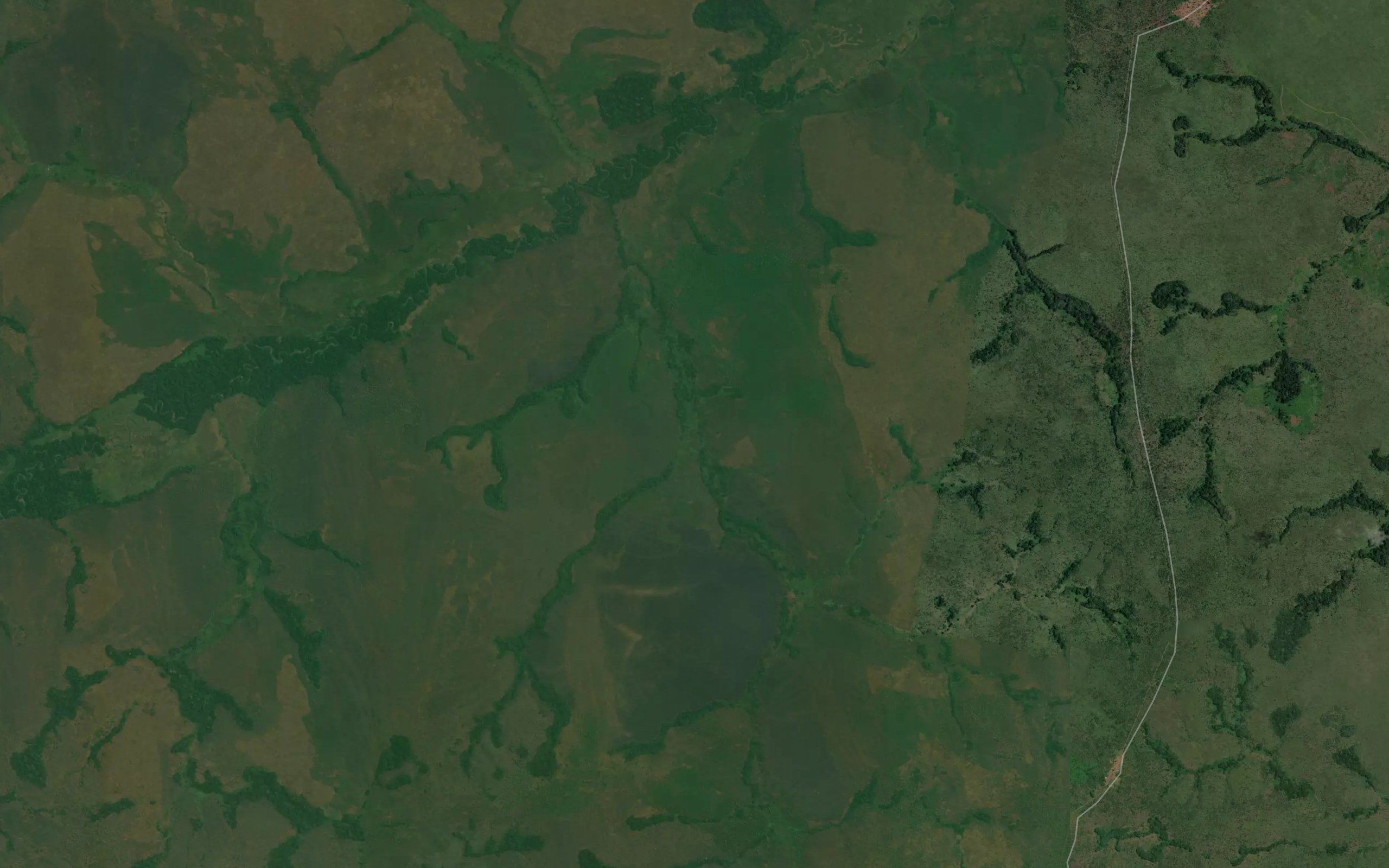 Kogeke