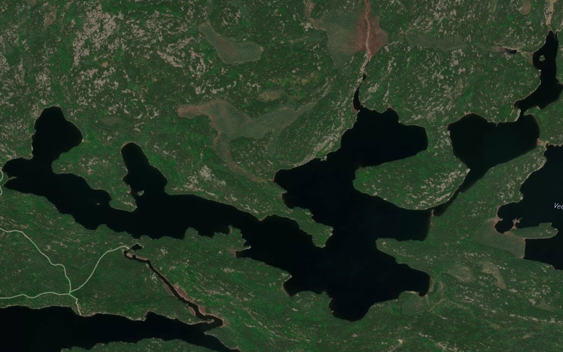 Satellite map of the Beaubien Lake