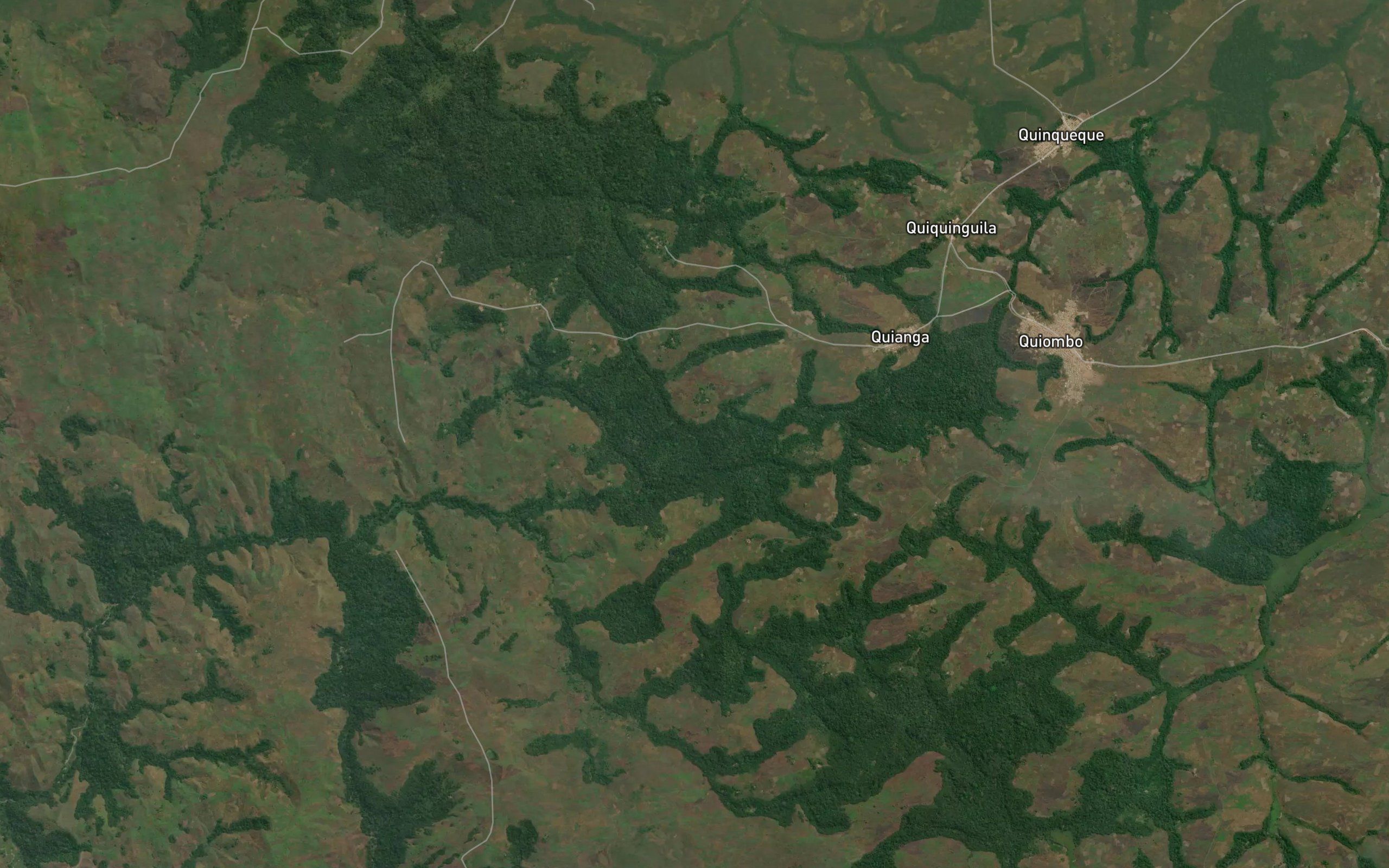 Cadunga