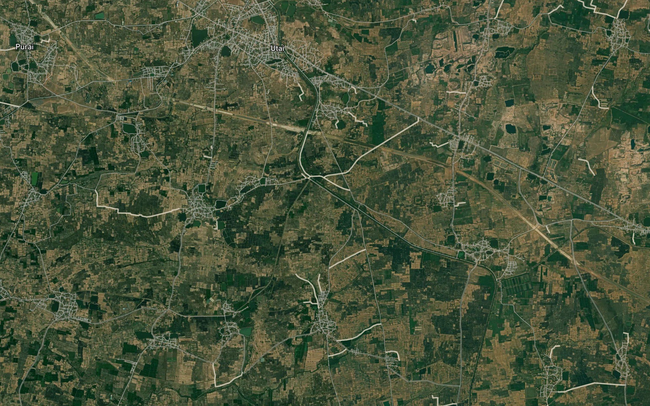 Patora Minor