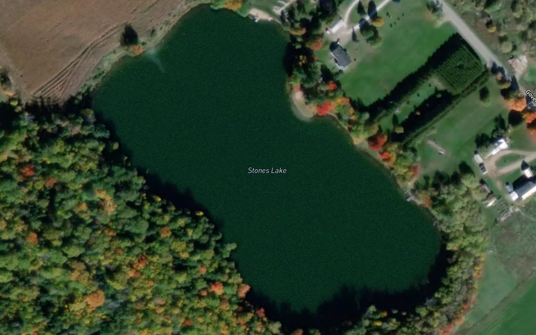 Satellite map of the Stones Lake