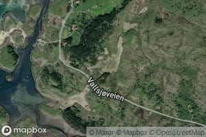 Langklubbvalen