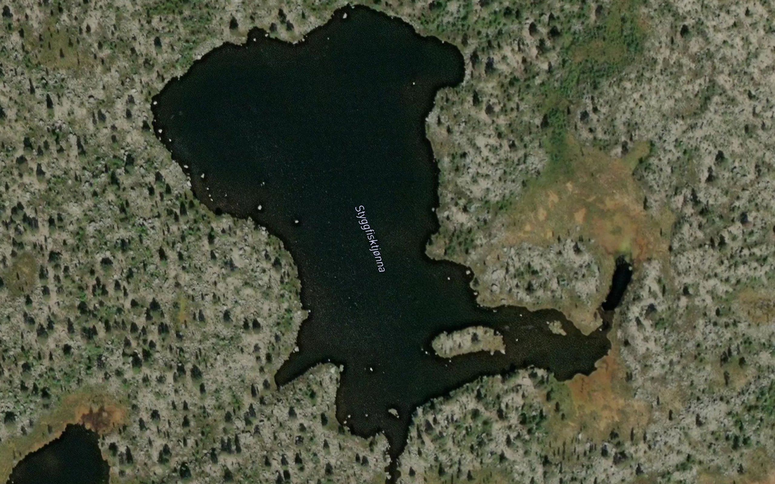 Styggfisktjorna