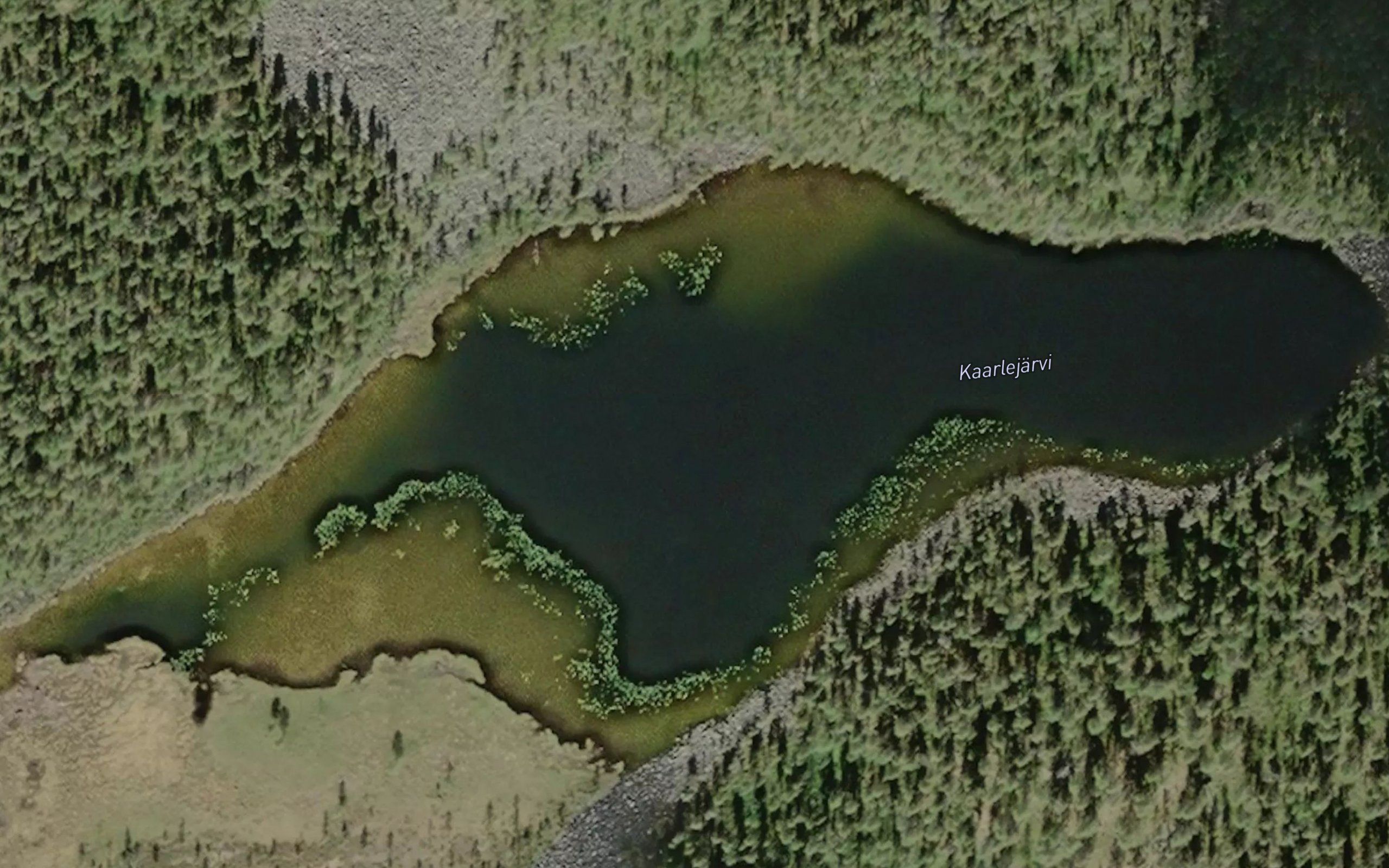 Kaarlejarvi
