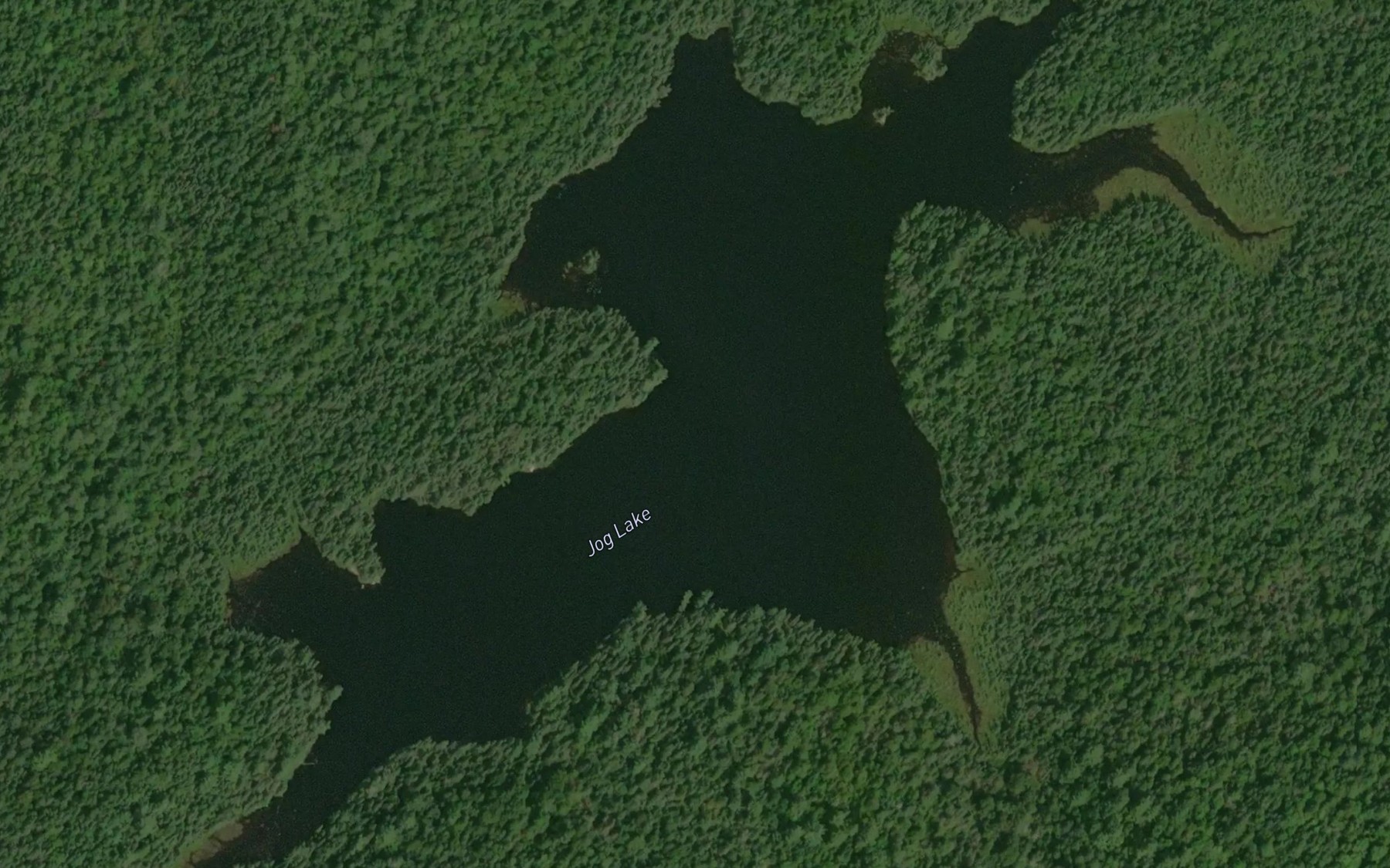 Satellite map of the Jog Lake
