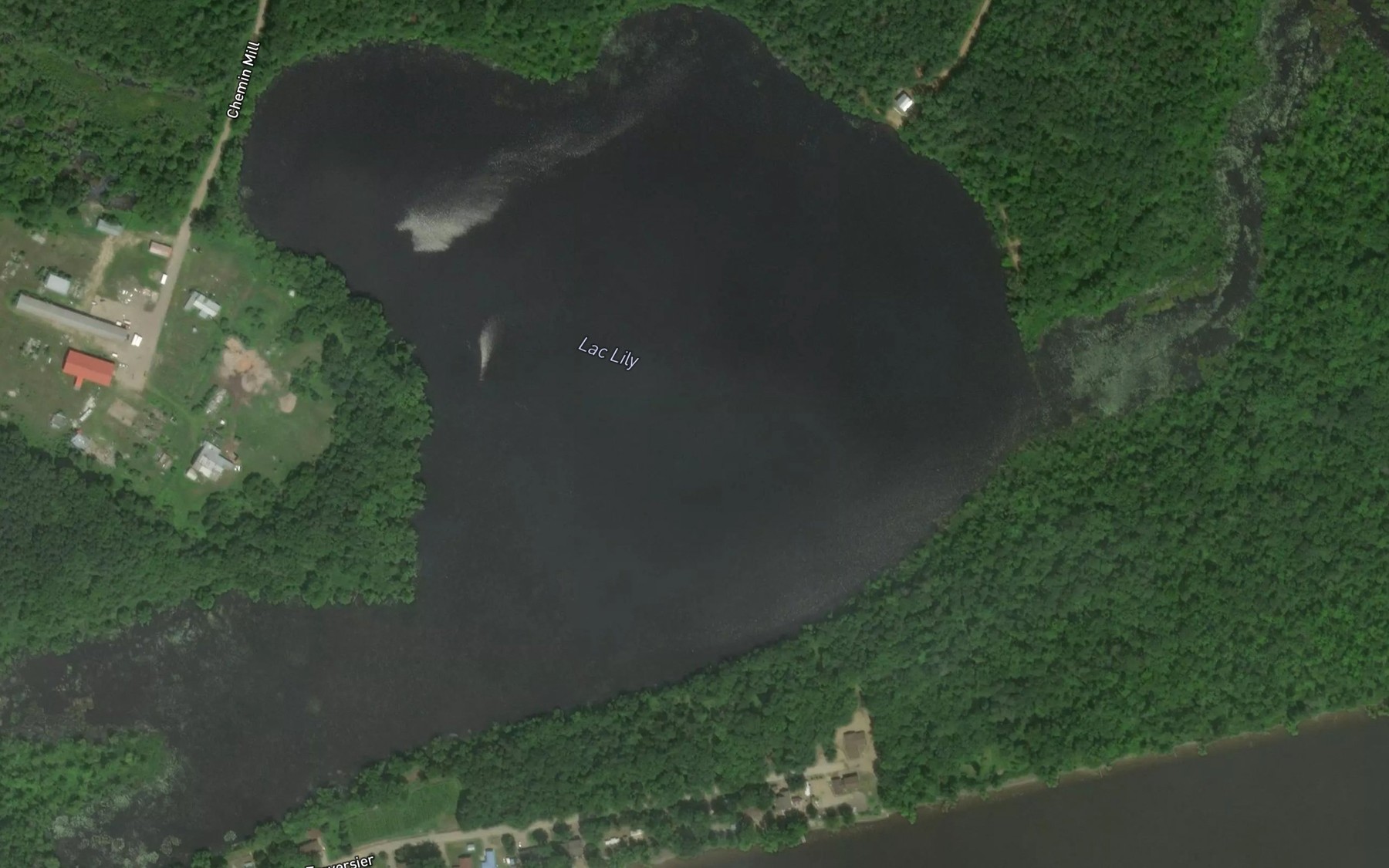 Satellite map of the Lac Lily