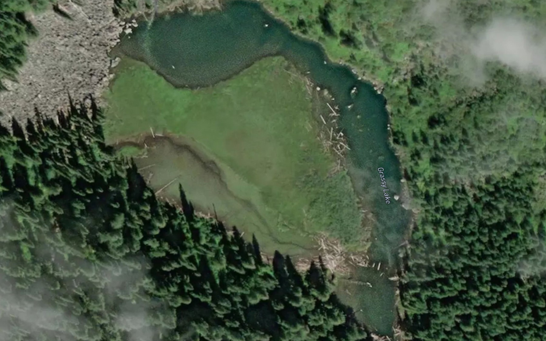 Satellite map of the Grassy Lake