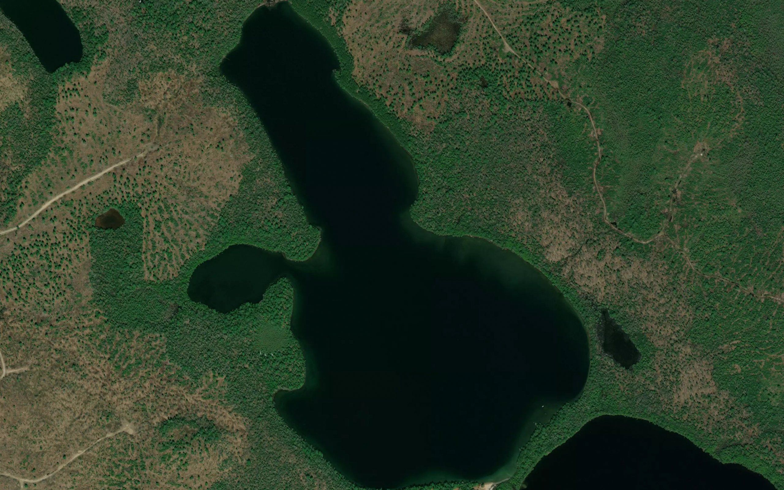 Little McDougal Lake