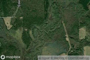 Bowles Creek