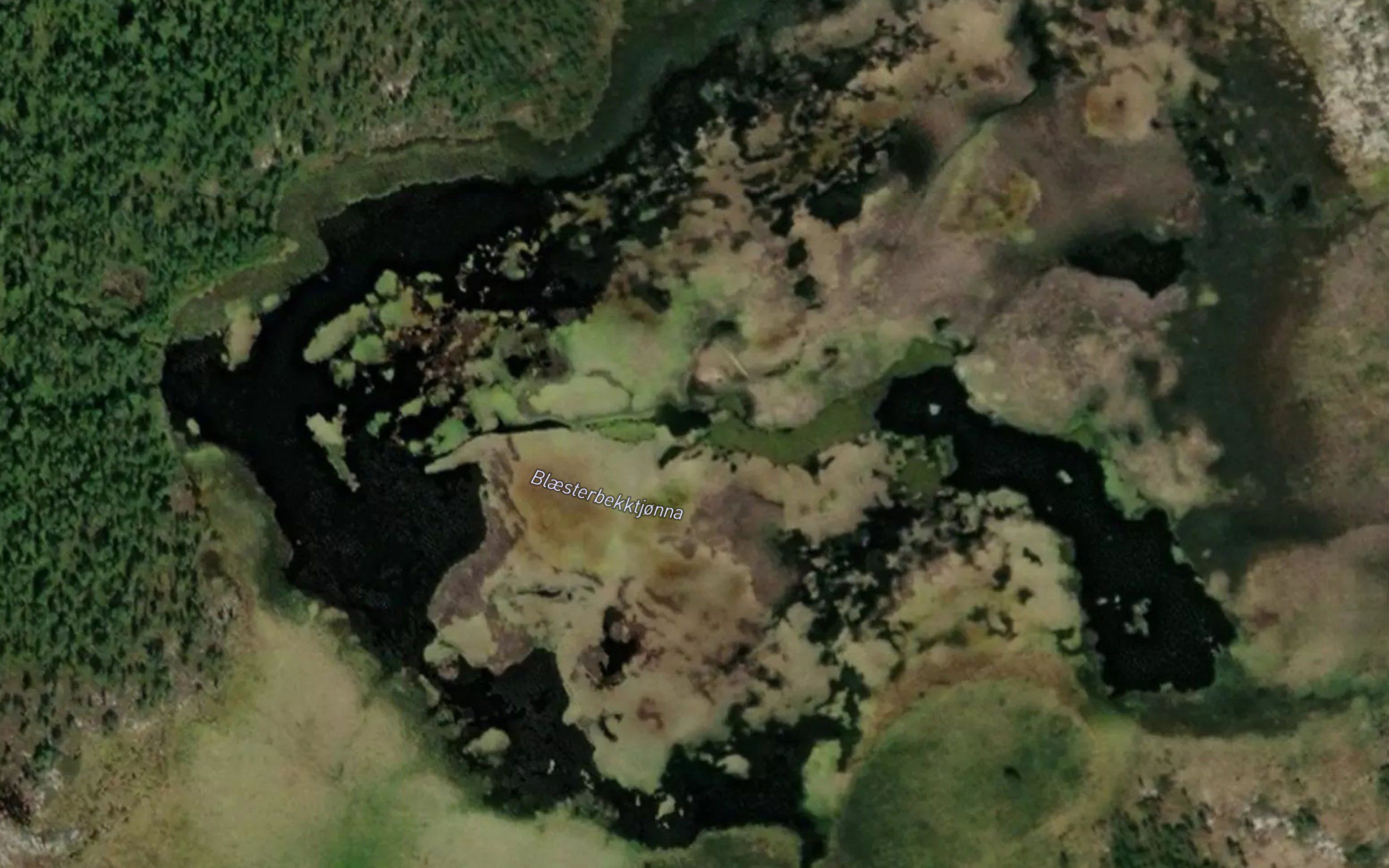 Blaesterbekktjorna