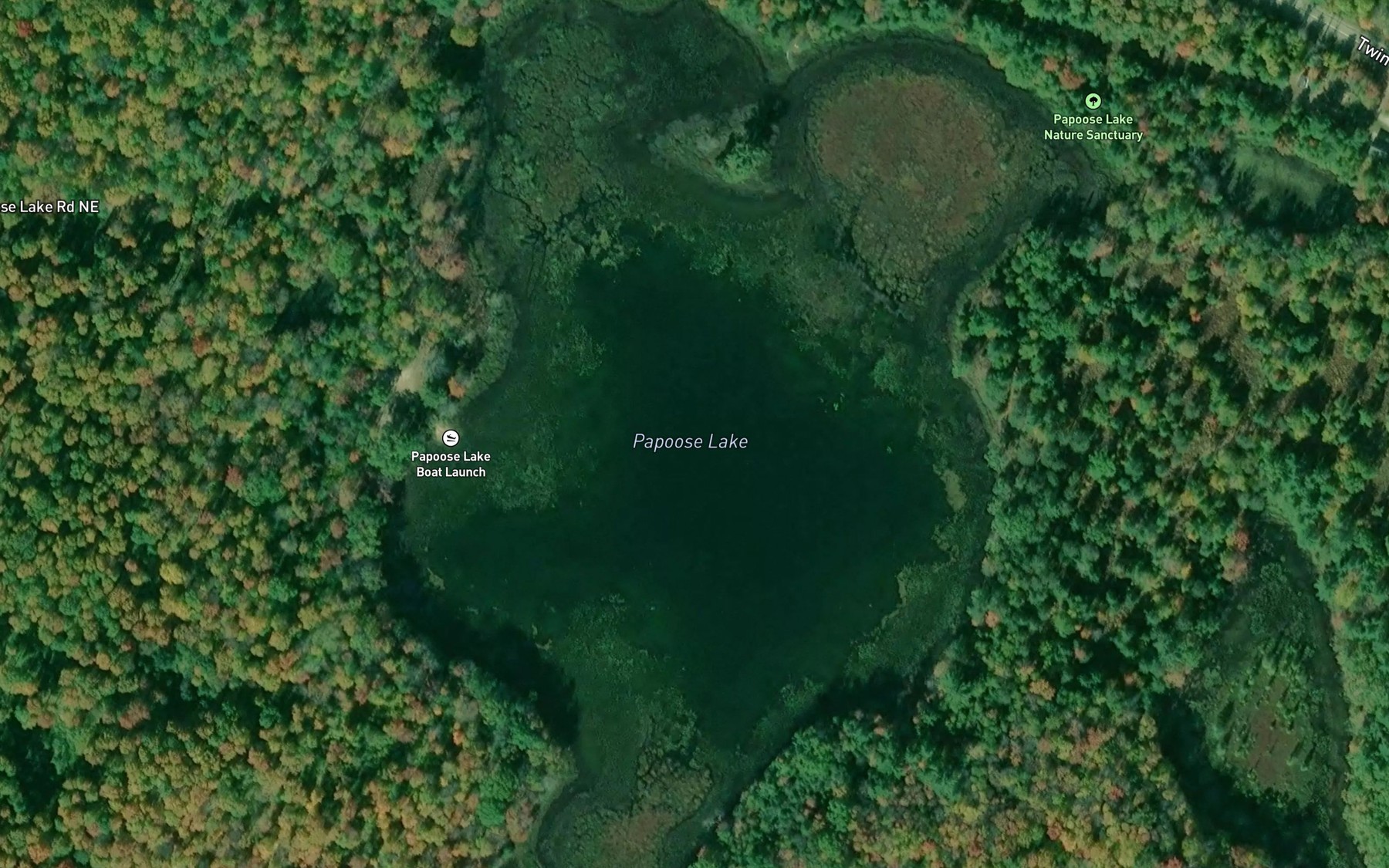 Satellite map of the Papoose Lake