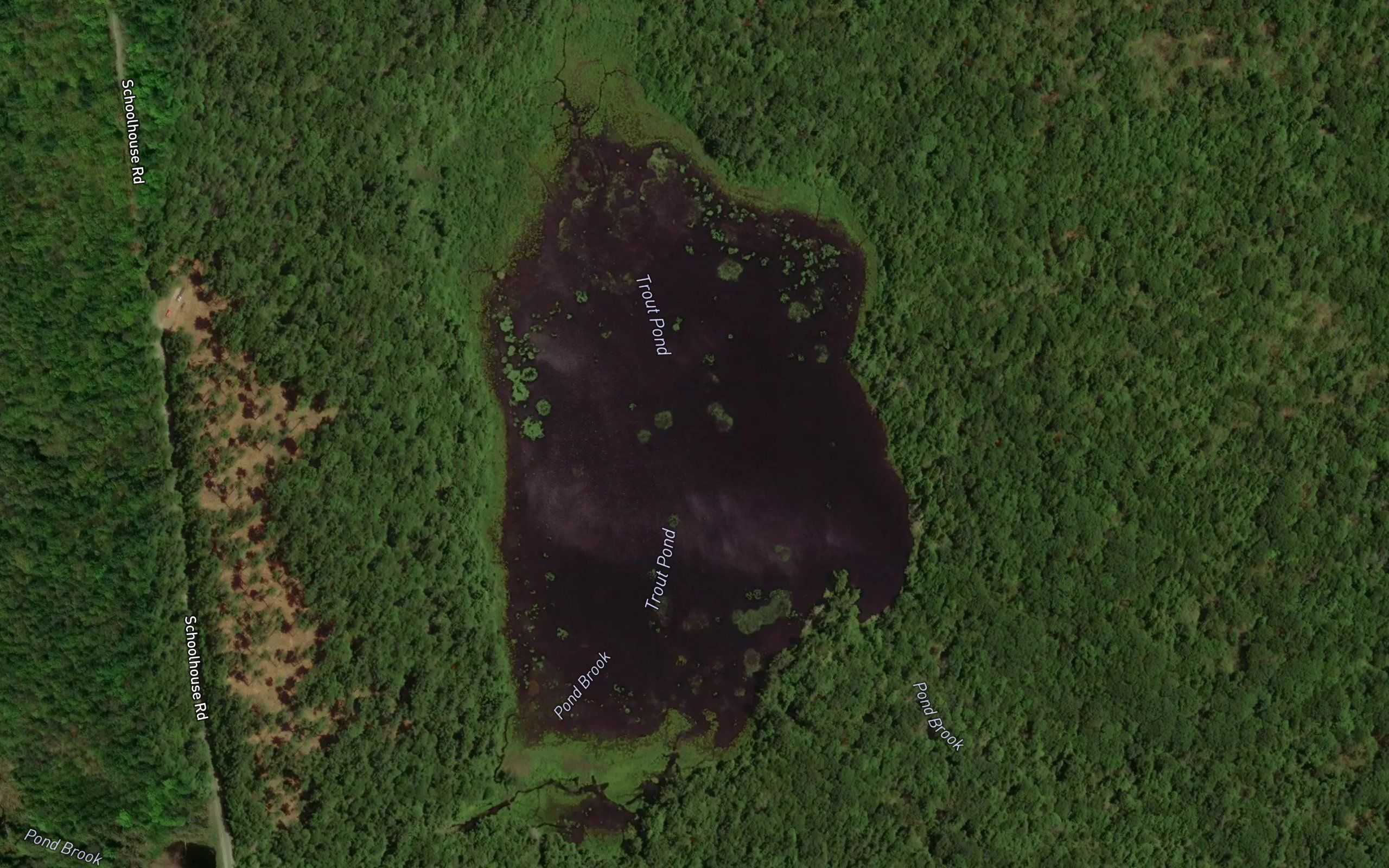 Trout Pond