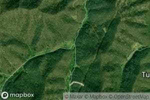 Righthand Fork Cox Creek