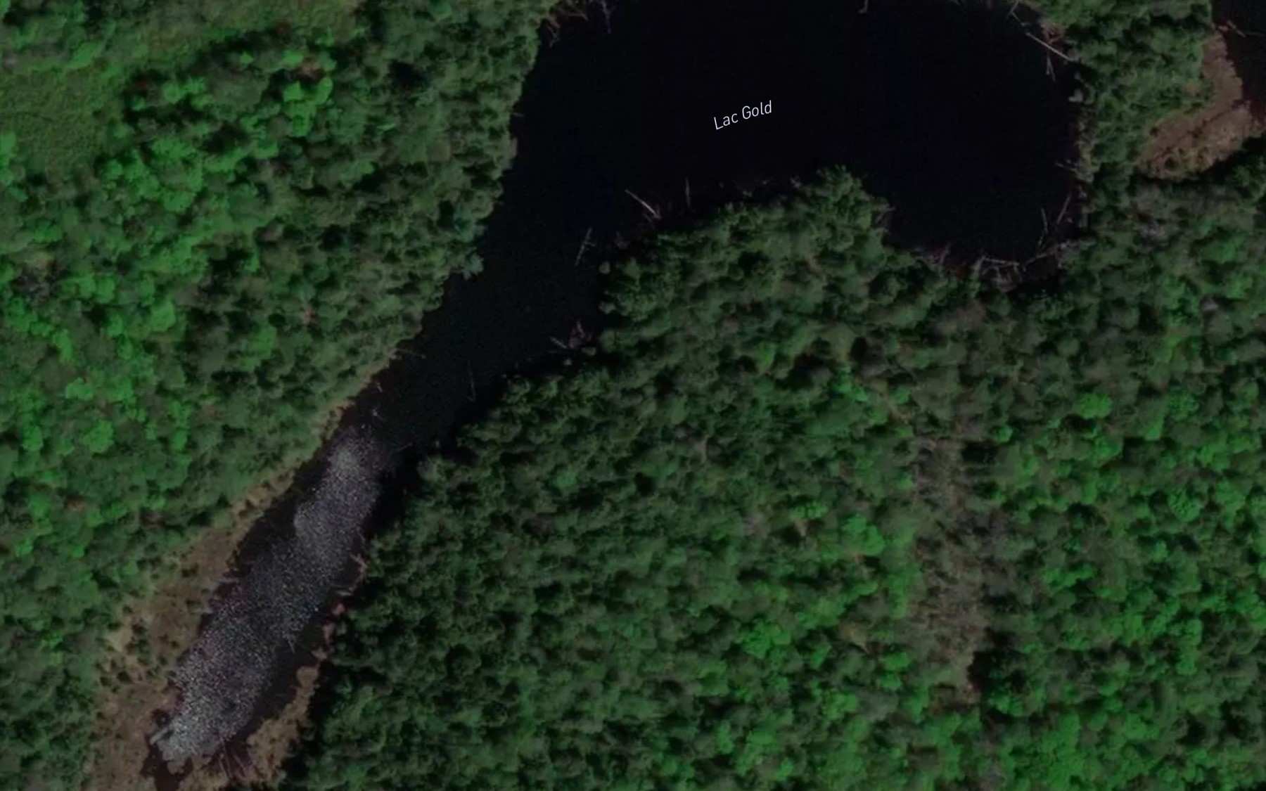 Satellite map of the Lac Gold