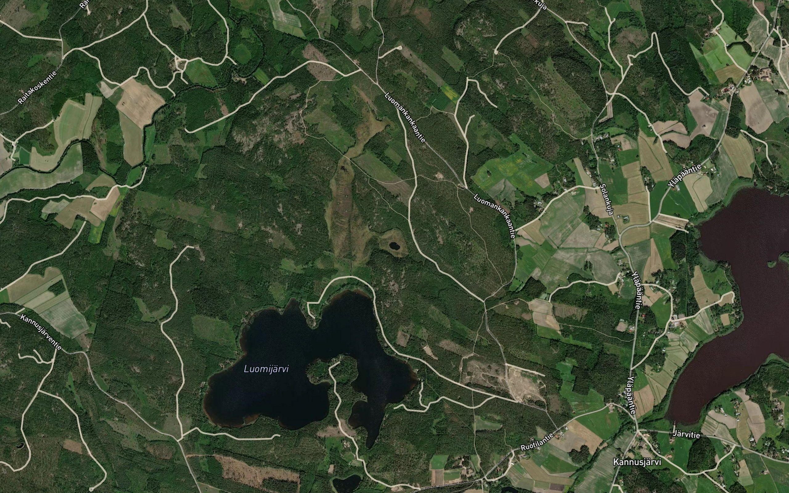 Harkolampi