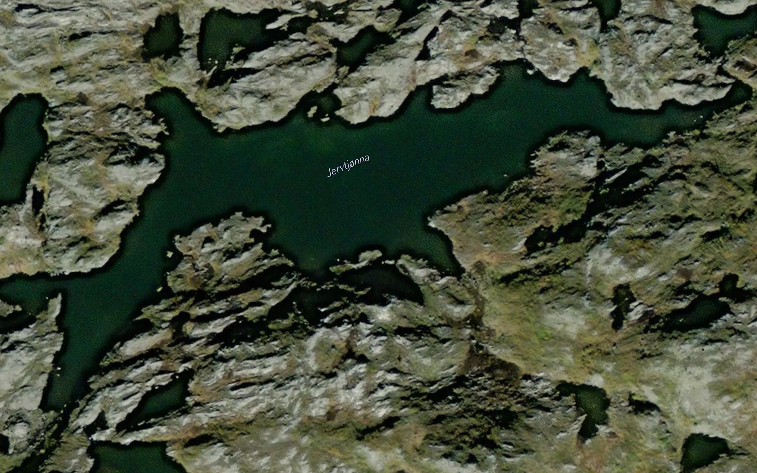 Jervtjorna