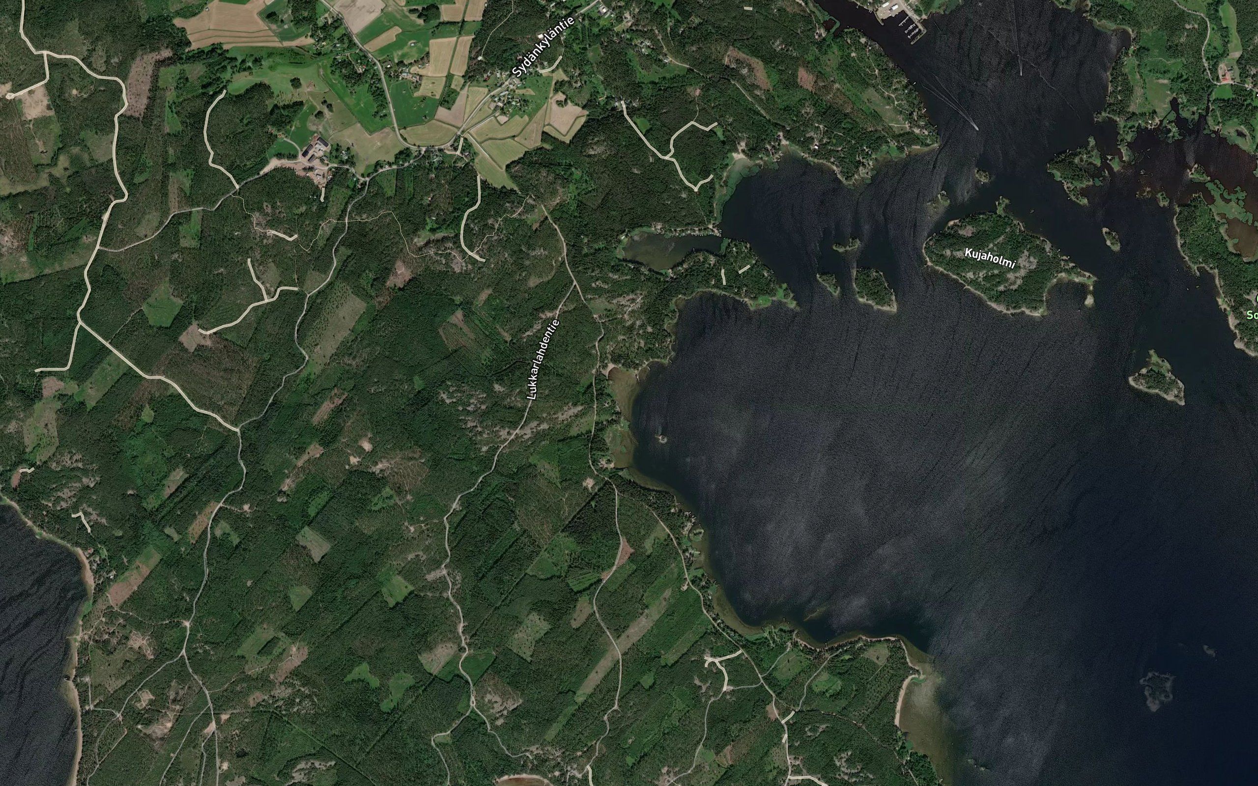 Naavertainpohja