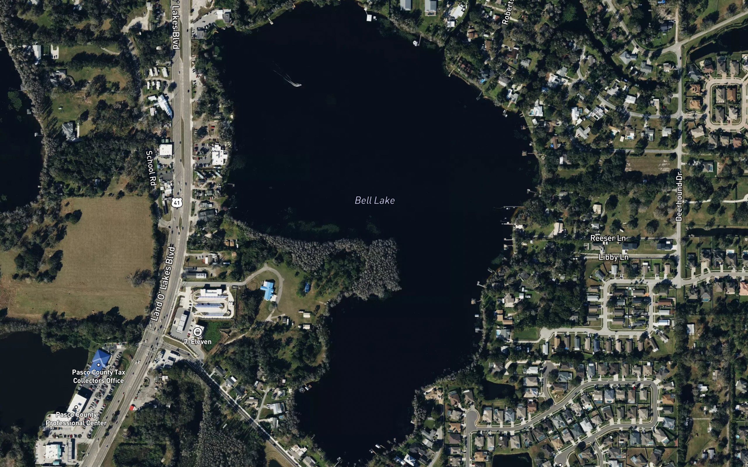 Bell Lake