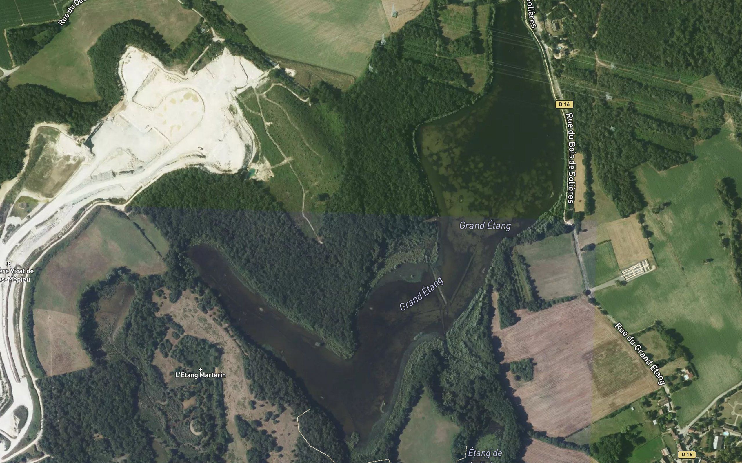 Grand Etang