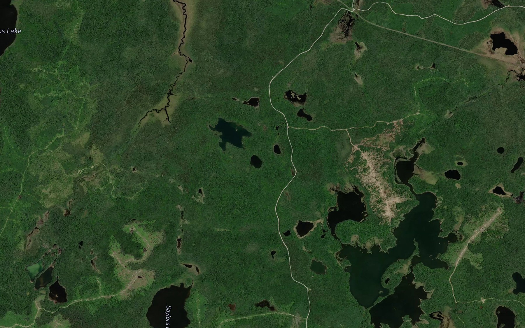 Satellite map of the Leatherleaf Lake