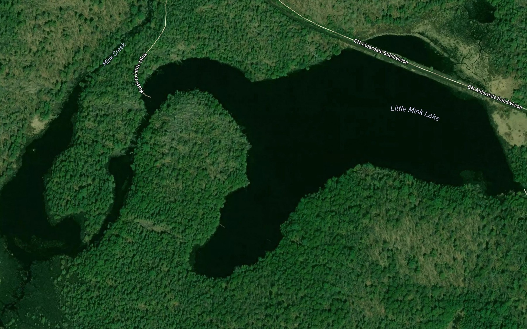 Satellite map of the Little Mink Lake