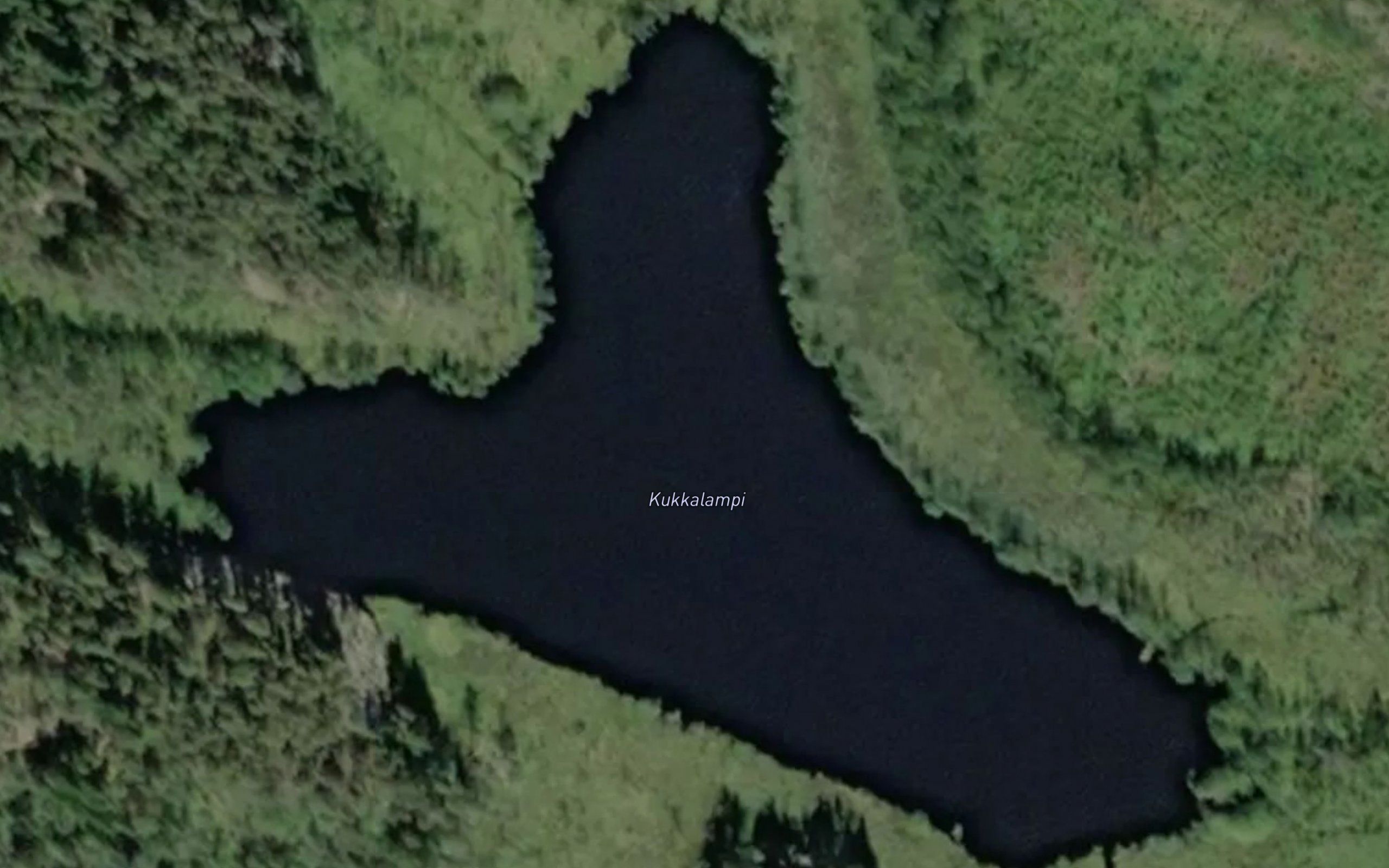 Kuikkalampi