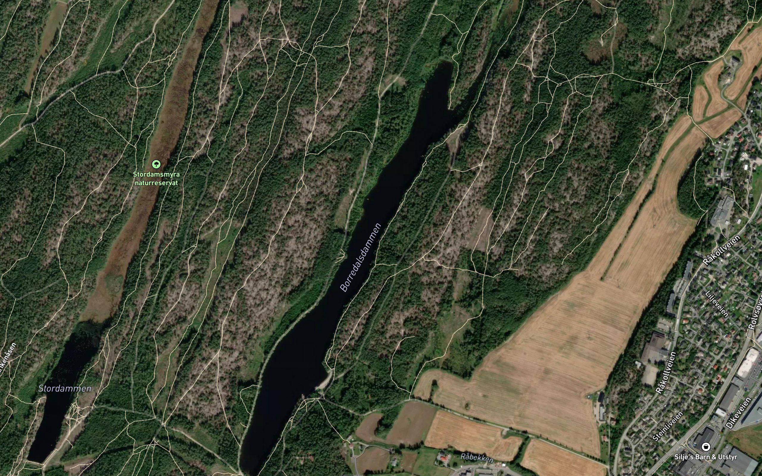 Borredalsvatnet