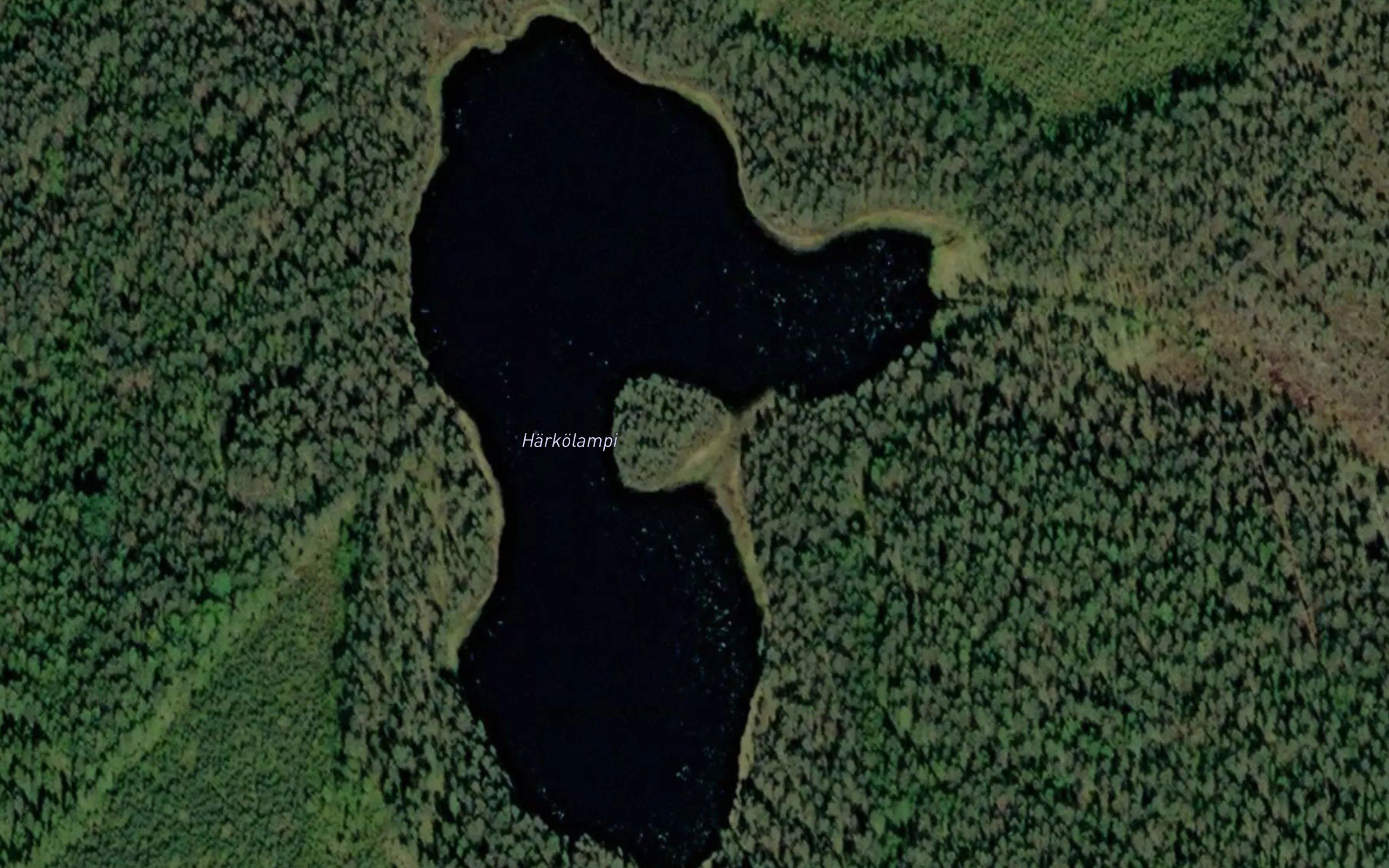 Harkolampi