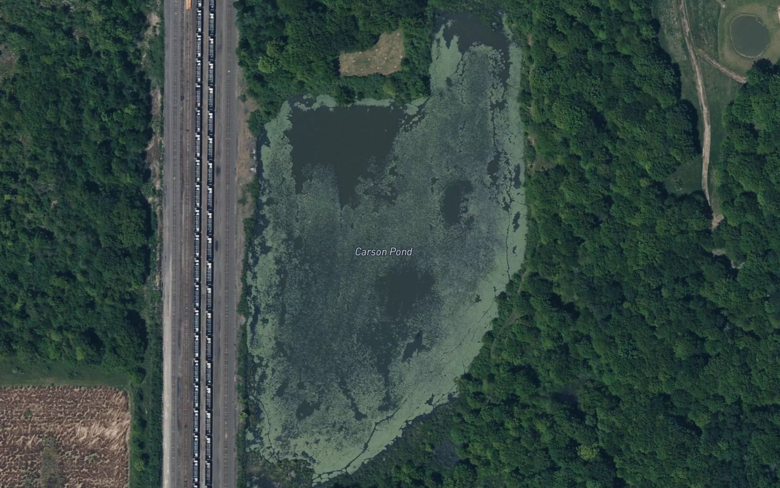 Carson Pond