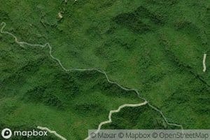 Pounding Mill Branch