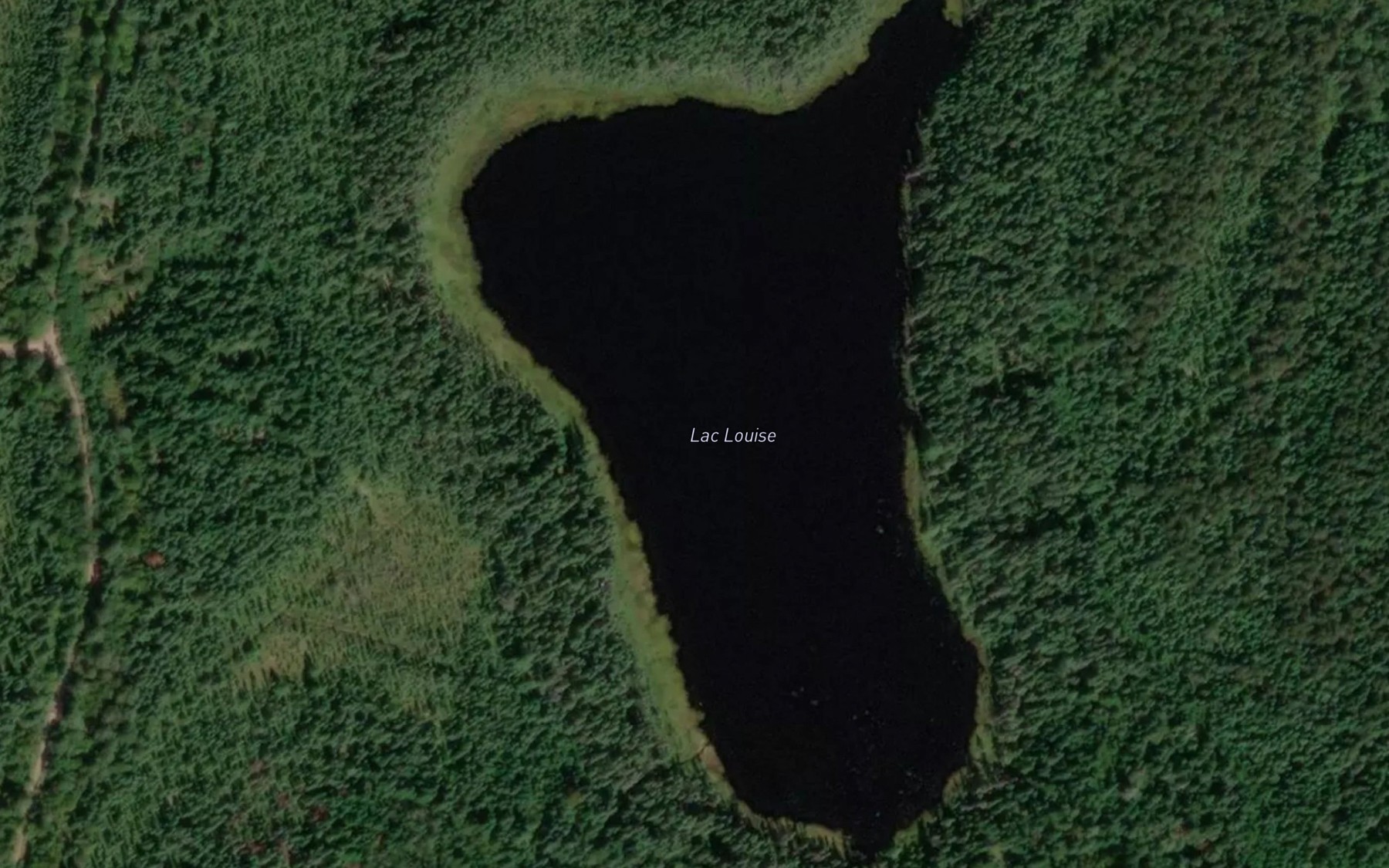 Satellite map of the Lac Louise
