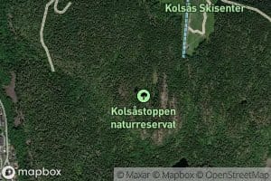 Kolsasputten