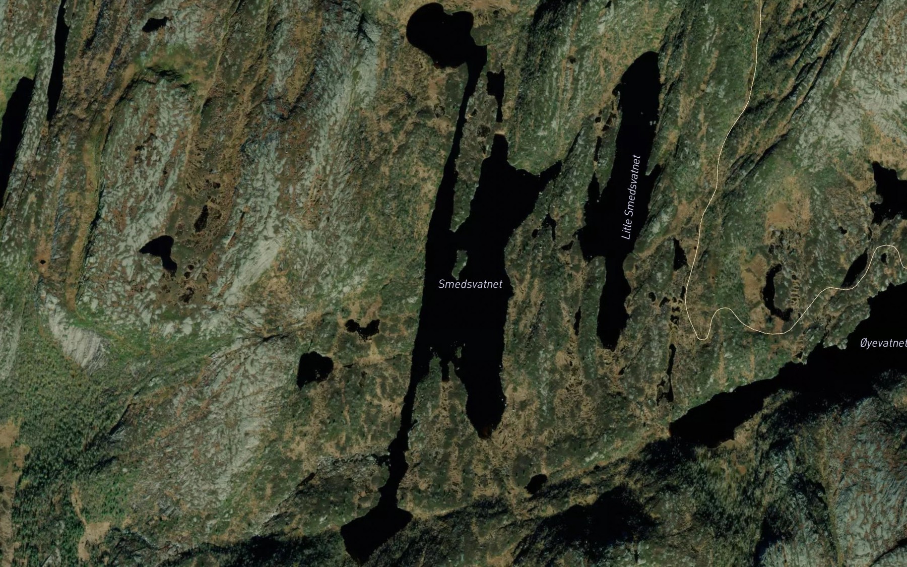 Satellite map of the Smedsvatnet,store