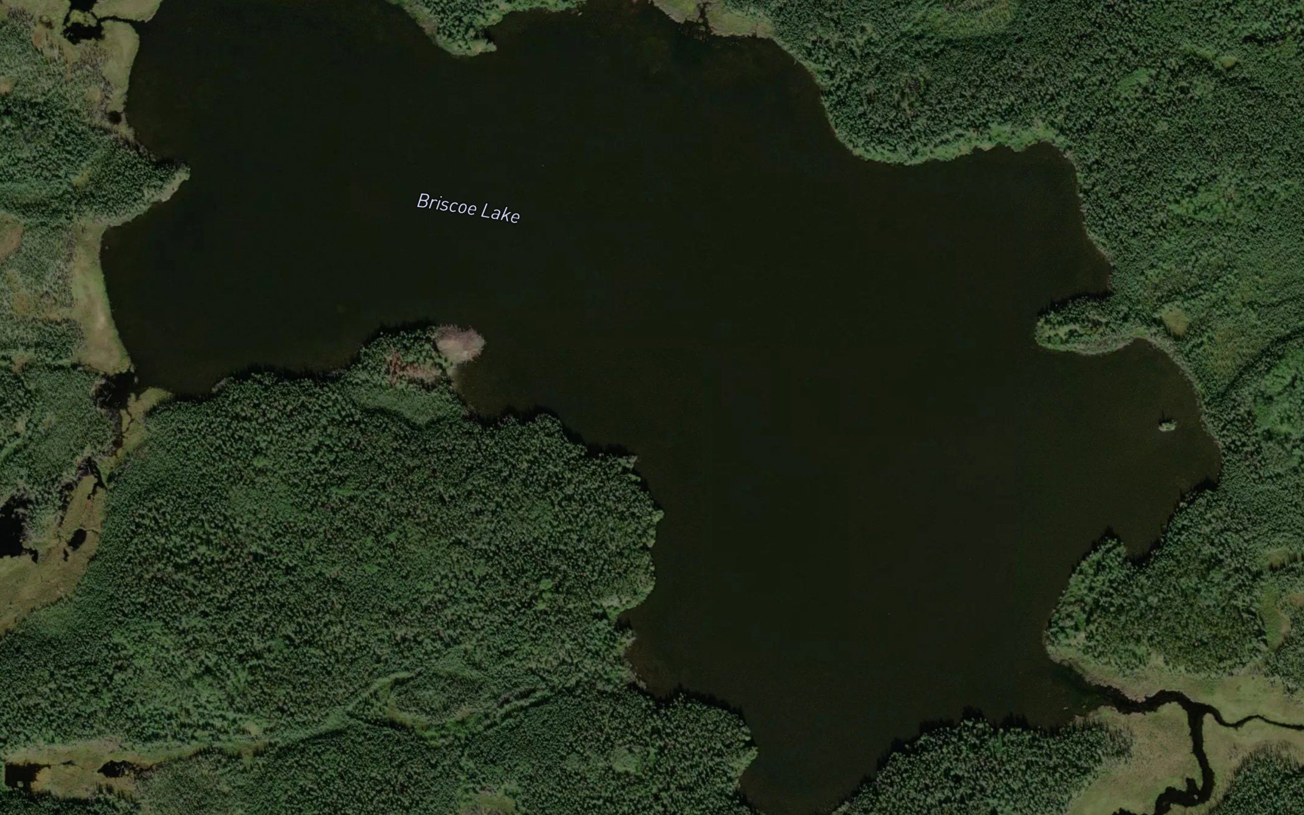 Briscoe Lake