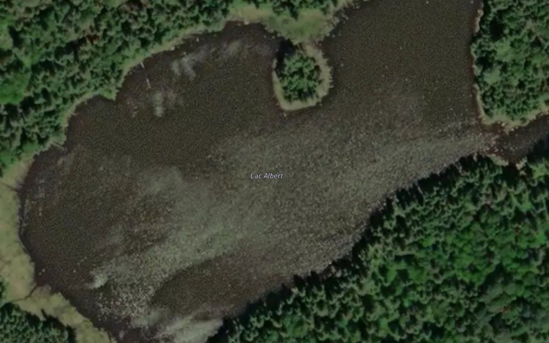 Satellite map of the Lac Albert