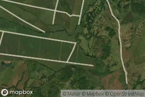 Quebrada Tronco Prieto