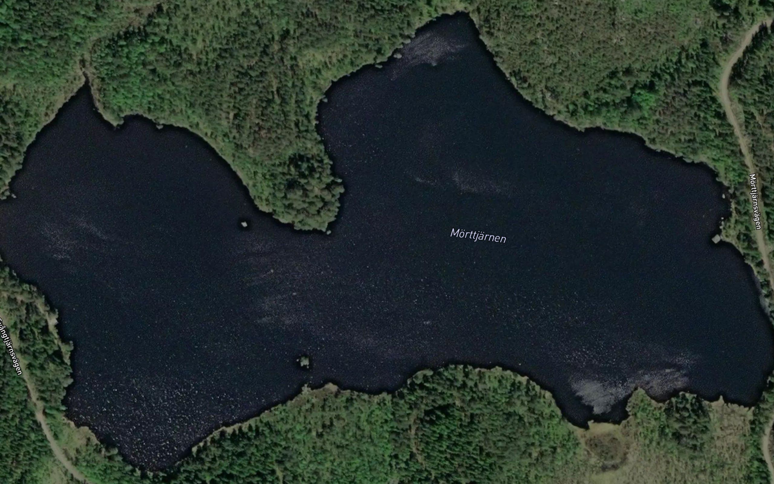 Moerttjaernen