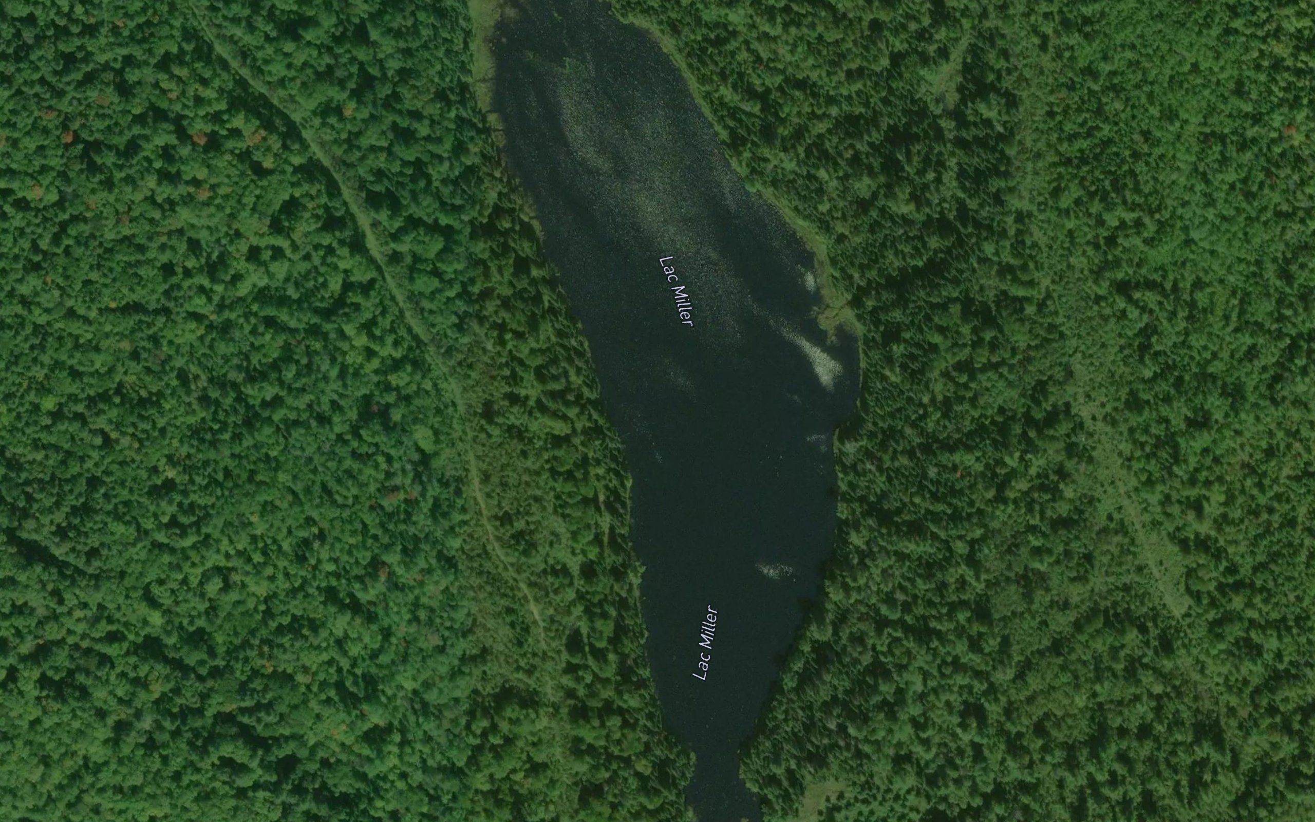 Lac Miller