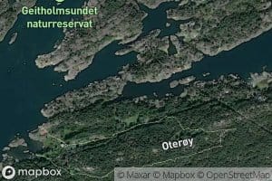 Oteroykilen