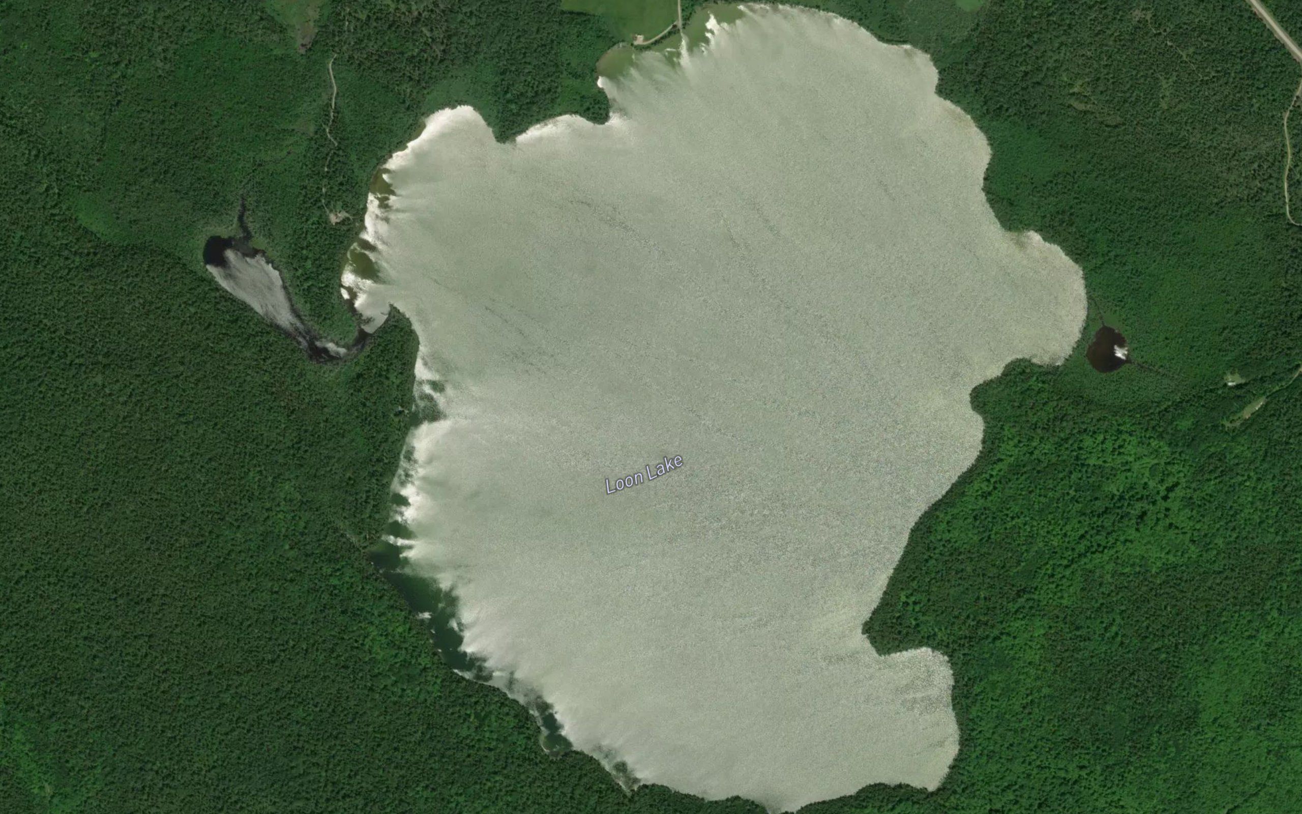 Loon Lake