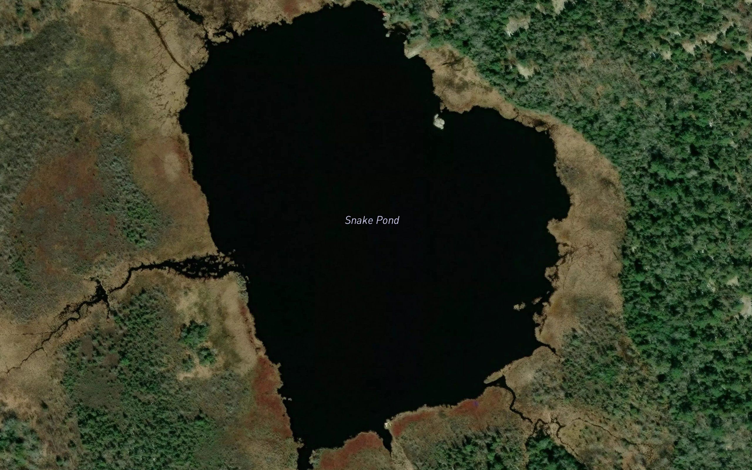 Snake Pond