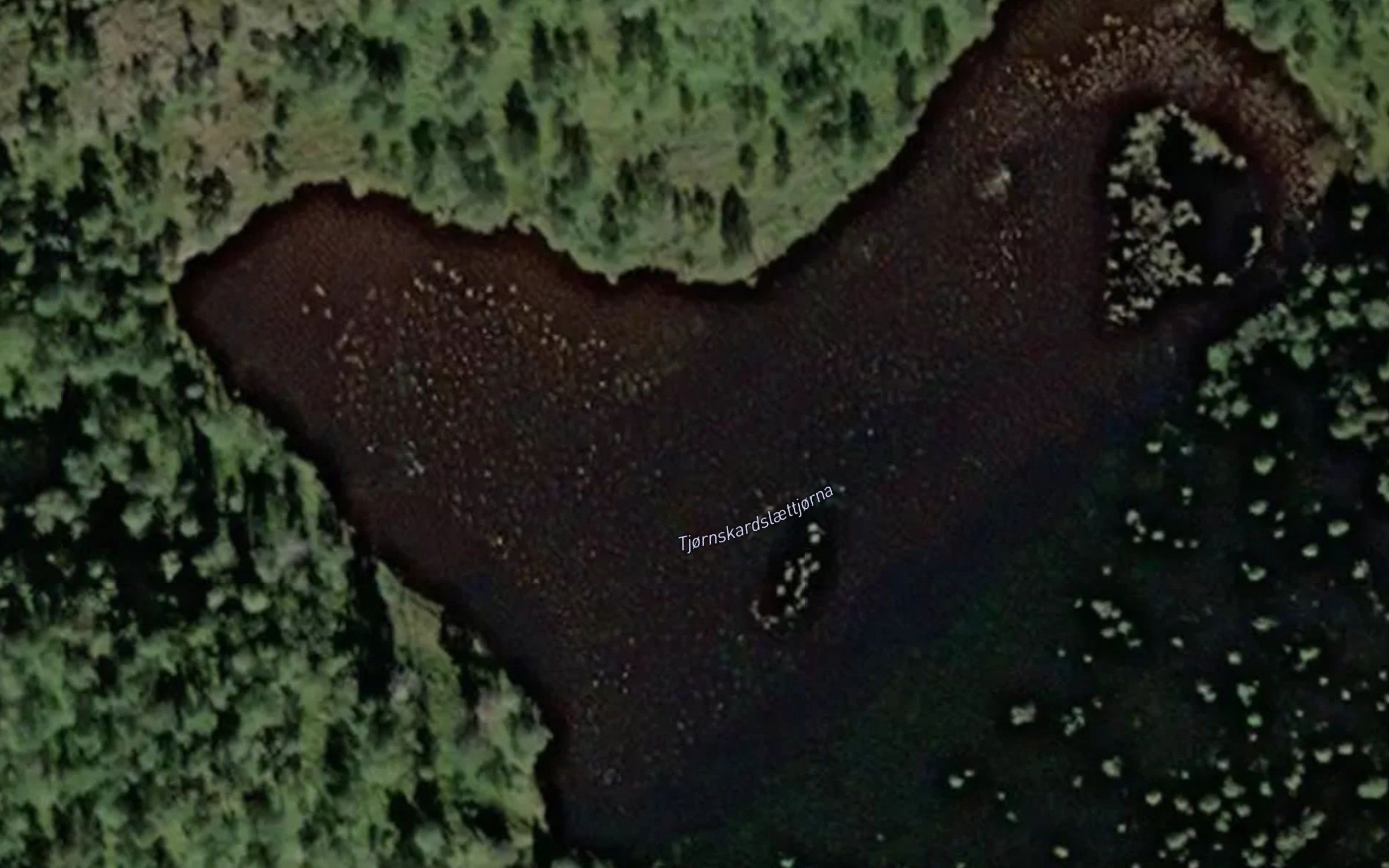Tjornskardslaettjorna