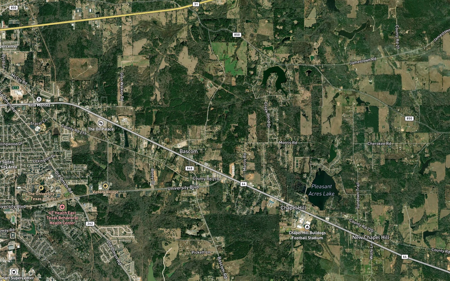 Satellite map of the Headache Springs
