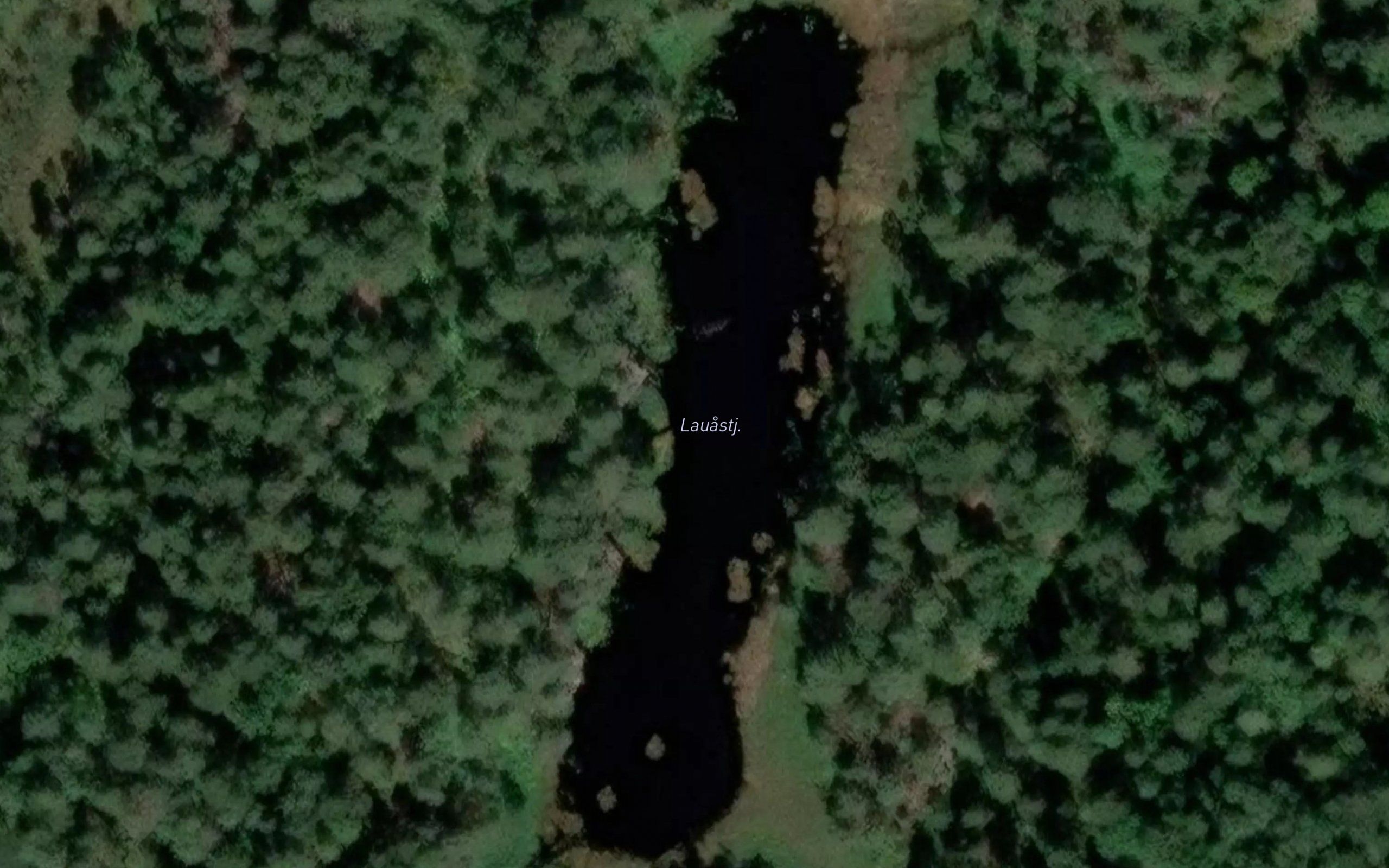Loastjonna