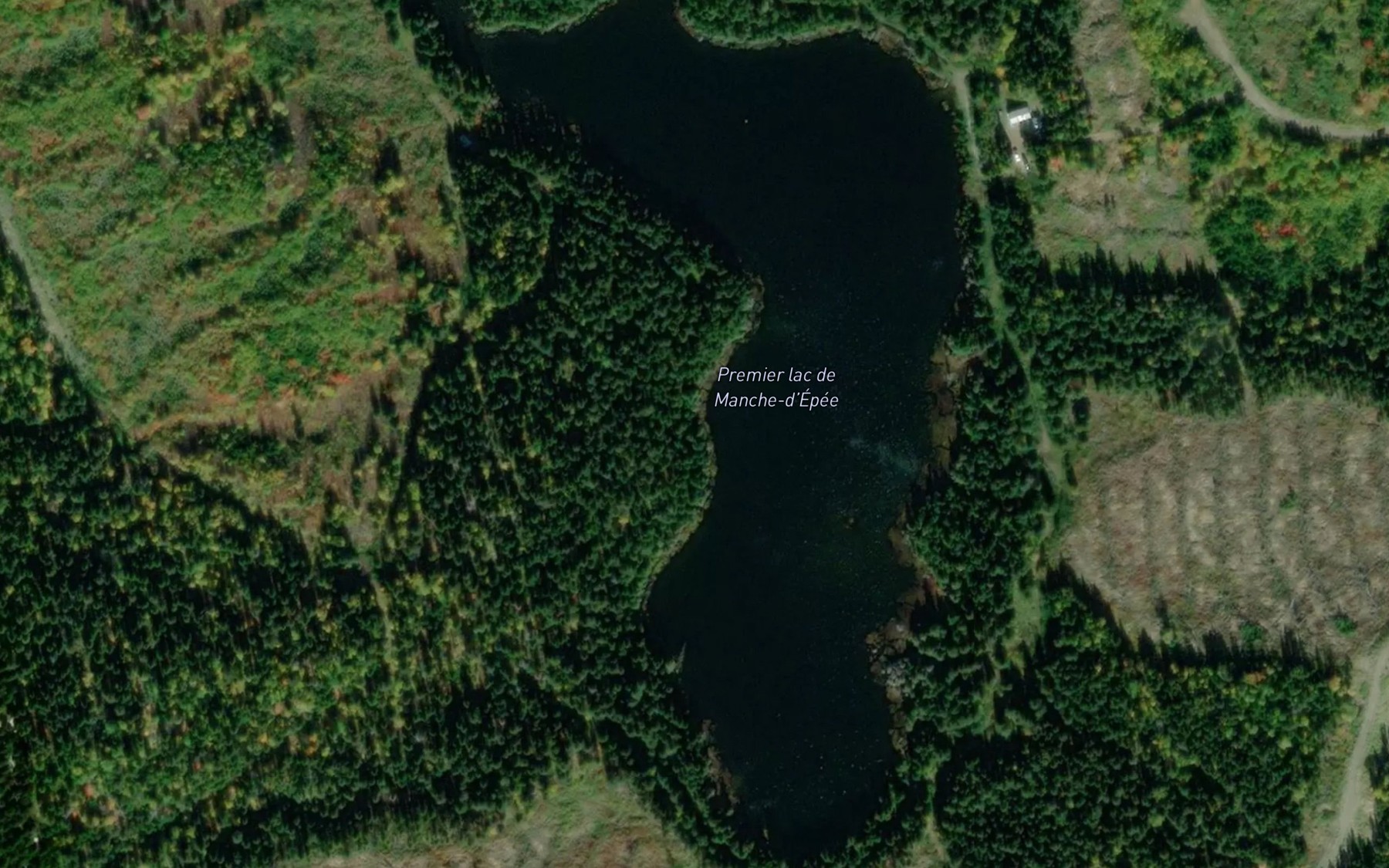 Satellite map of the Premier lac de Manche-d'Epee