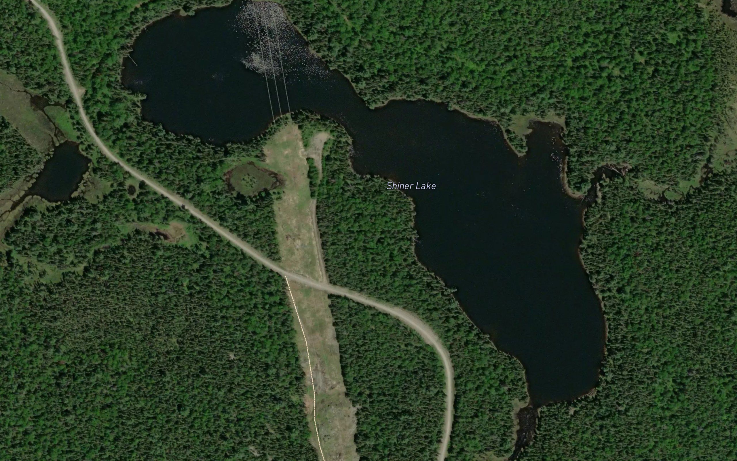 Shiner Lake