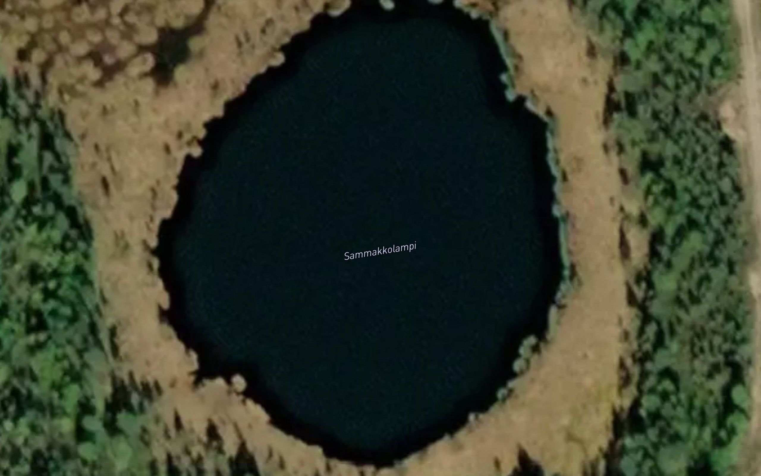 Sammakkolampi