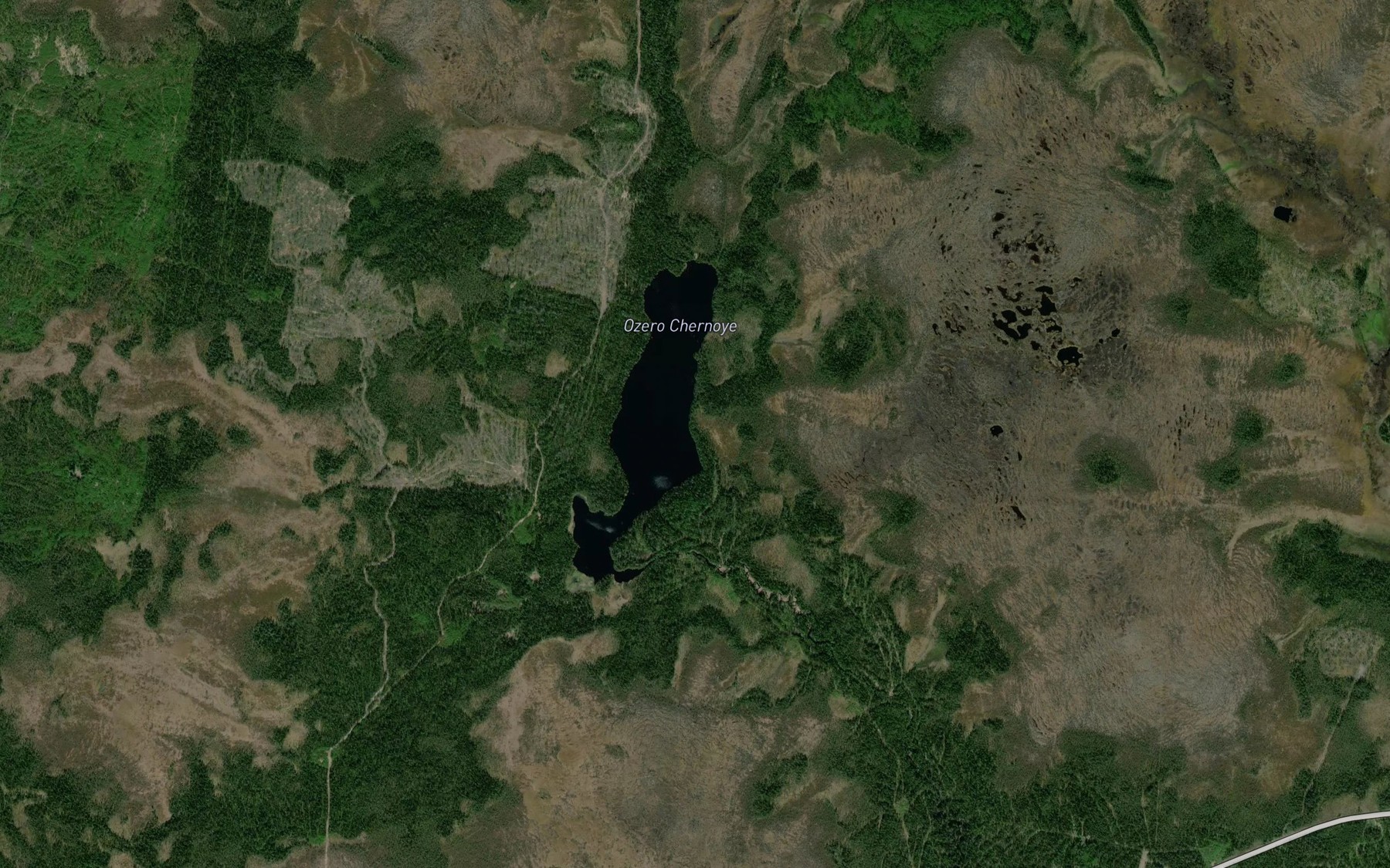 Satellite map of the Ozero Chernoye